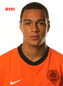 Biodata Gregory van der Wiel Lengkap, Pemain bertahan (Bek) Timnas Belanda